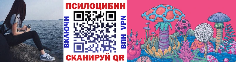 Псилоцибиновые грибы прущие грибы  хочу   Лодейное Поле 